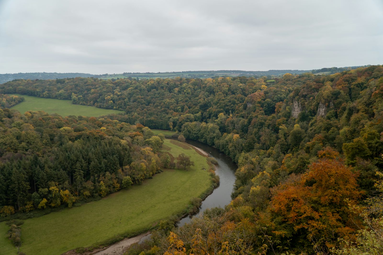 A river winding through autumn woods