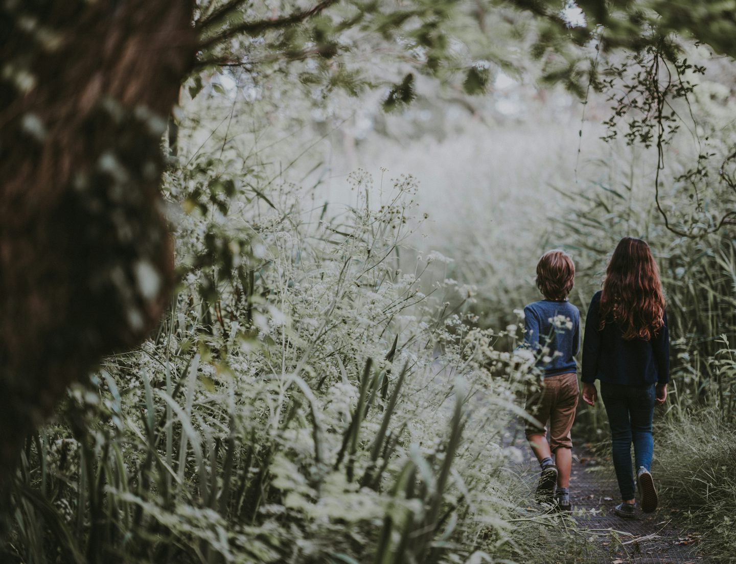 Two students walking a woodland trail between tall grasses and wildflowers